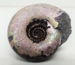 Вот такая удача