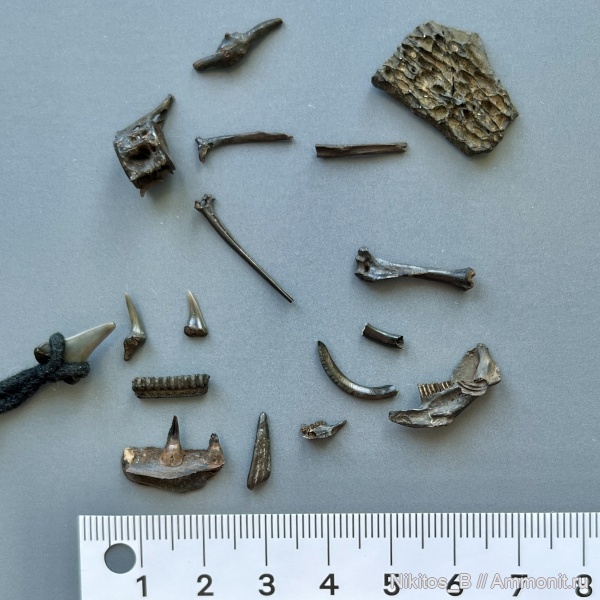 Волжский Волгоградской области