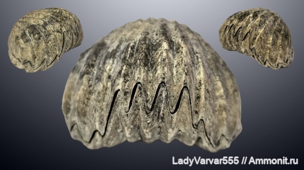 Карамышевская набережная