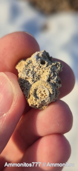 Мои Находки