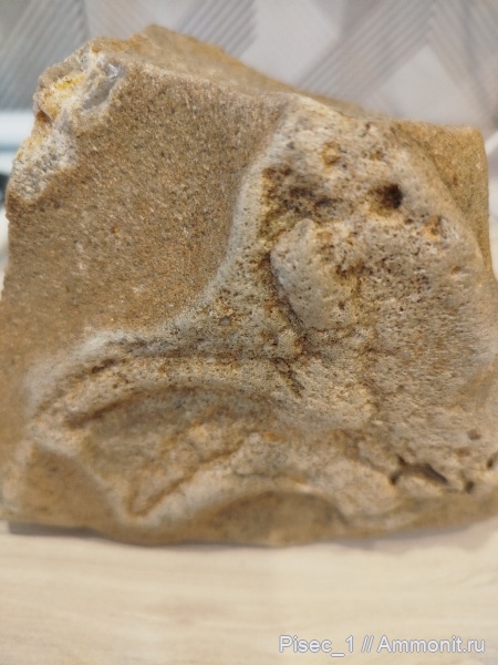 Волгоградская область