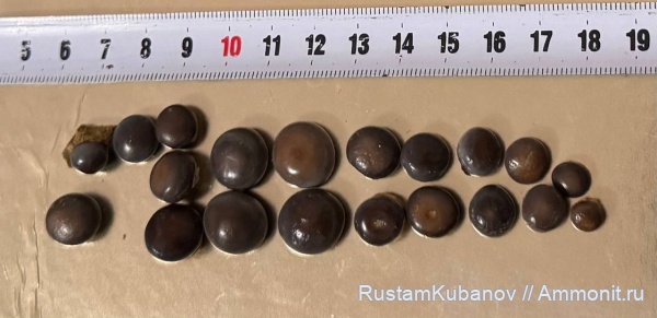 окаменелости Карачаевский район и Усть-Джегутинский район