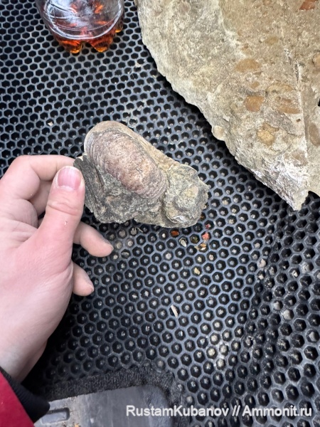 юрский период, Карачаево-Черкессия, Кавказ, Усть-Джегутинский район