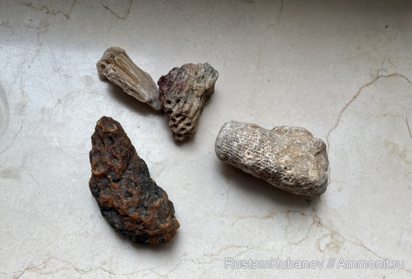 Рузский район