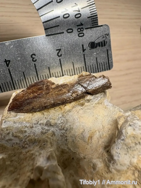 Покрывная пластина Артродиры