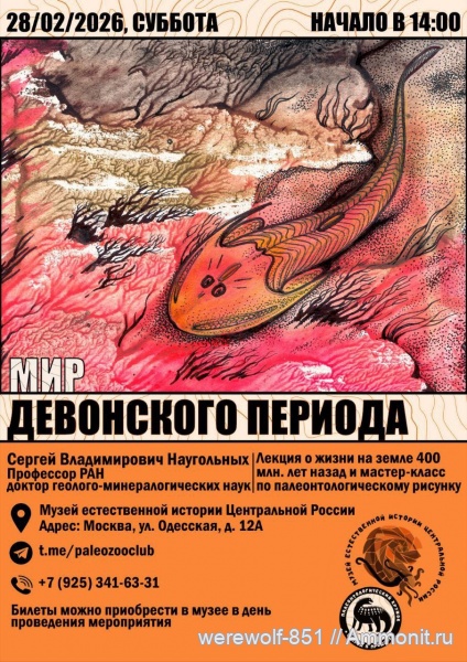 анонс, объявление, короткие заметки