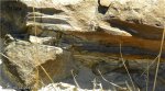 Фрагмент растения из расколотого песчаника - левая часть