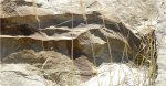 Фрагмент растения из расколотого песчаника - правая часть