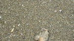 Пиритовый песок