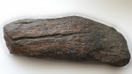 Обломок кости конечности мелового плезиозавра