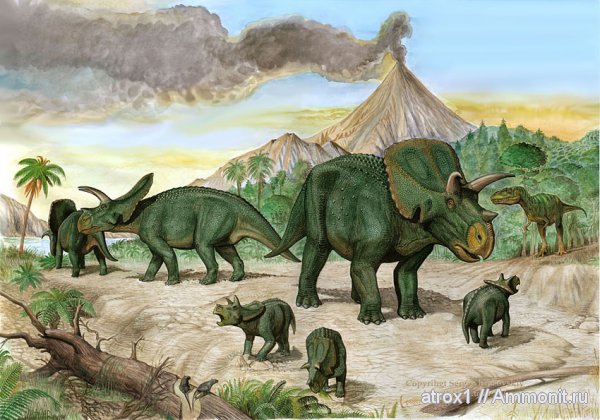 Albertosaurus, Dinosaurs, arhinoceratops
