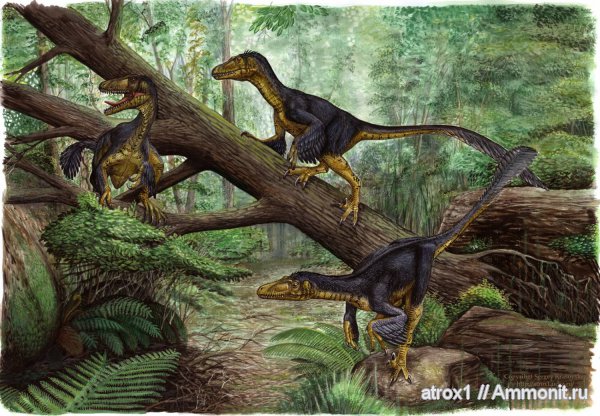 динозавры, Balaur, Dinosaurs