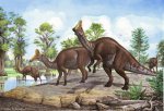 Amurosaurus riabinini