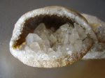 брахиопода с кристаллами кальцита