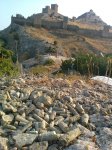 наиденая ископаемая фауна юры возле Генуэзской крепости