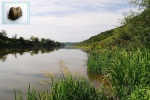 Река Дон близ села Петино, место находок девонской фауны.