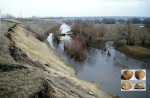 Река Большая Верейка,естественные выходы девонских известняков.