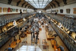 Зал палеонтологии музея