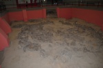 Центральная экспозиция музея, стоянка древнего человека.Кости мамонта.