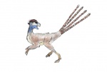 Динозавр Epidexipteryx