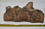 Фрагмент позвоночного столба из трёх позвонков млекопитающего,предпологаю мамонтёнок