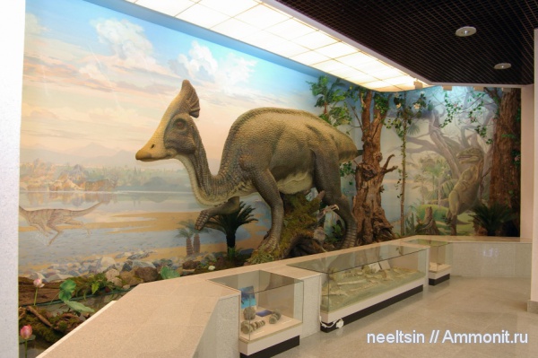 динозавры, музеи, Хабаровский краевой музей