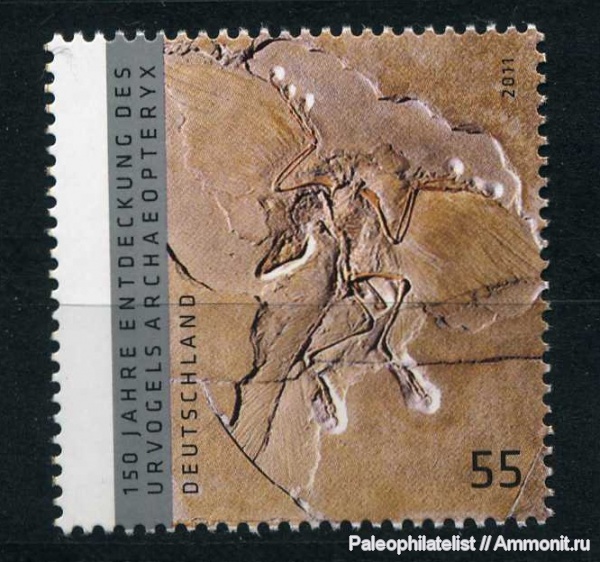 Archaeopteryx, марки