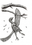 Археоптерикс с раненым крылом