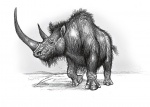 Шерстистый носорог 2