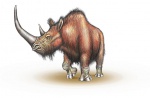 Шерстистый носорог 2 (в цвете)
