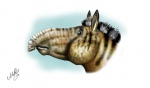 Голова Hipparion (Proboscidipparion) sinense