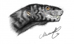 Thrinaxodon  liorhinus