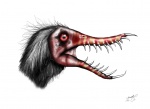 Голова Rhamphorhynchus muensteri
