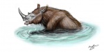 Шерстистый носорог-подросток в озере