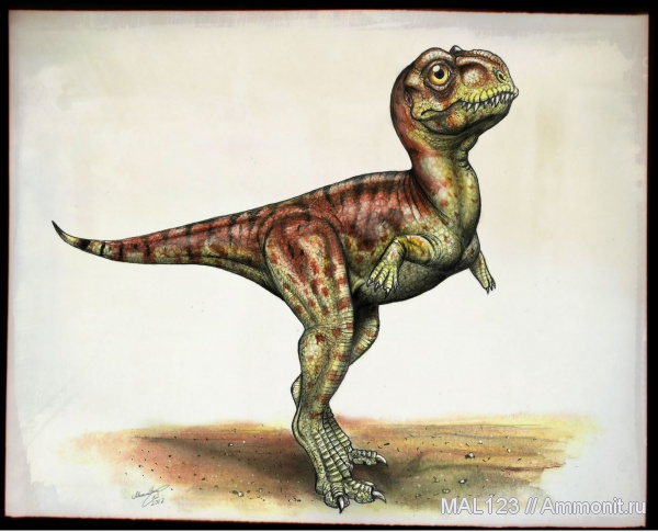детеныши, Majungasaurus crenatissimus, Majungasaurus, маюнгазавр