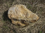 Камень стигмарий