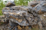 Строматолитовые известняки из отвалов Гаёвского карьера (окрестности г. Бакал)