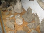 Зубы мамонтов и другие окаменелости