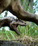Allosaurus vs Camarosaurus