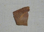 Фрагмент панциря рыбы Coccosteus sp.