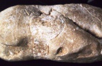 камень с Ай-Петри 2