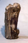 Мезозойское углефицированное дерево