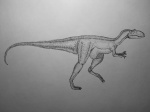 Allosaururs (saurophaganax) maximus