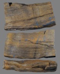 Пермская древесина