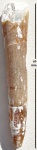 Gonioteuthis (Gonioteuthis) granulata quadrata (Stolley,1897)