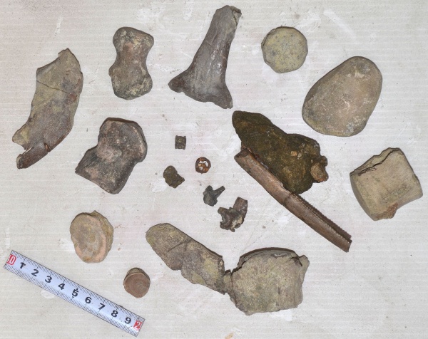 верхний мел, кампан