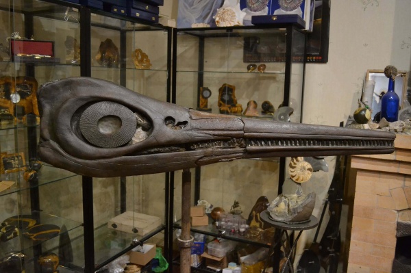 нижний мел, аптский ярус, зона Deshayesites deshayesi