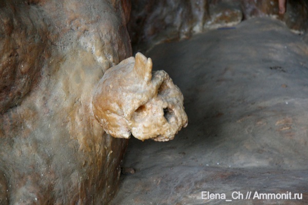 Греция, череп, Homo heidelbergensis
