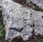 Каменный объект поблизости от вершины горы-лакколита Железная (КавМинВоды)