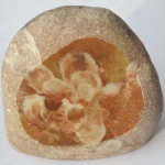 Замечательная губка с Пшехи